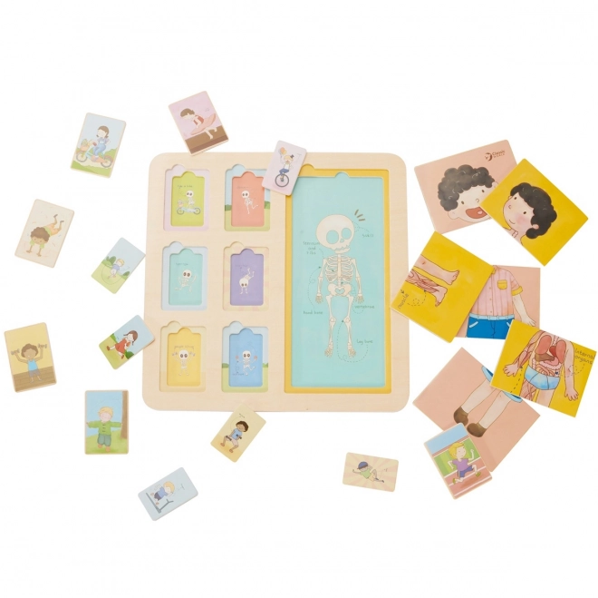 Társas fa puzzle emberi test/sport fóliában 30x30cm 12m+