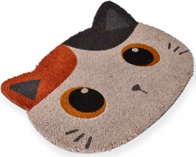 Hatékony talptisztítás