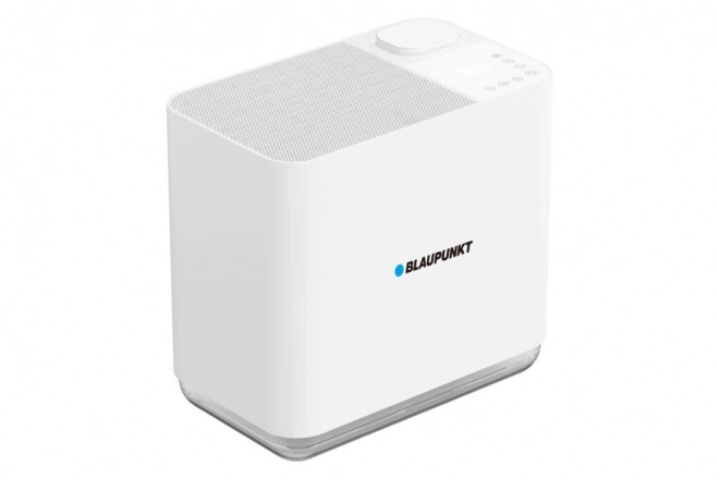 Blaupunkt légpárásító