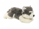 Plüss Husky kutya gyerekeknek