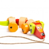 Fa tacskó pórázon