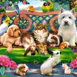 180 darabos puzzle – Kisállatok a parkban